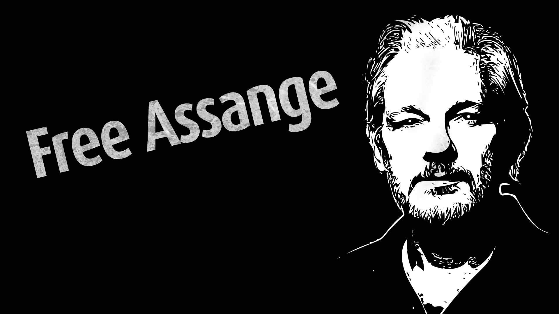 Der Kampf des Julian Assange